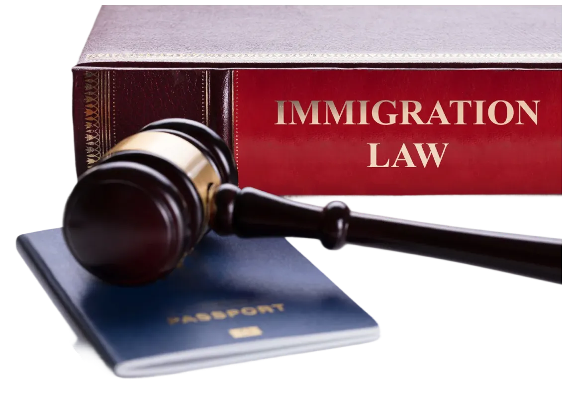img why immigration cases are complex 2x