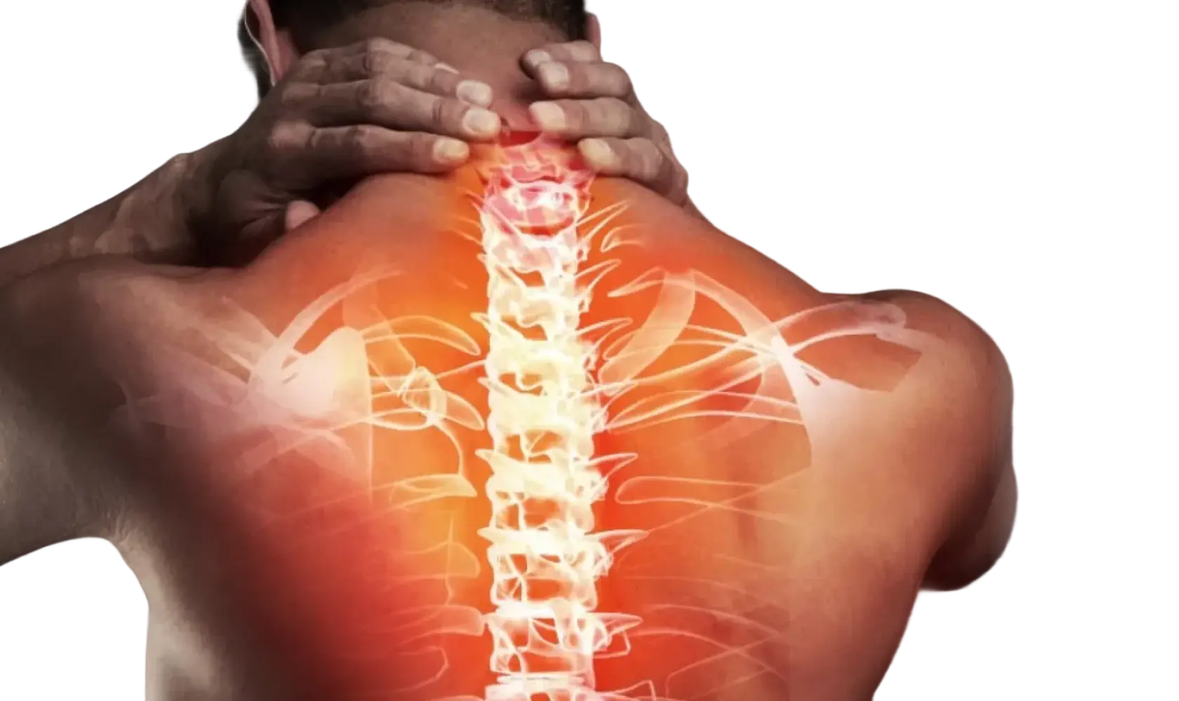 masthead spinal cord injury 2x